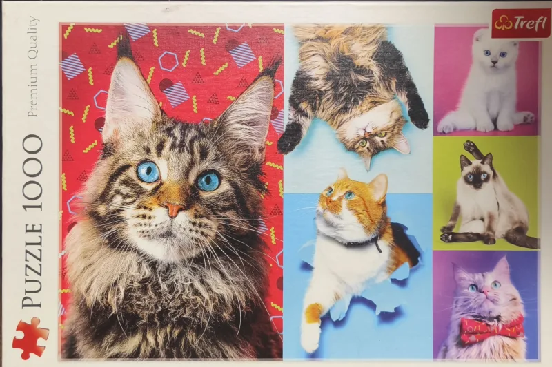 Happy cats