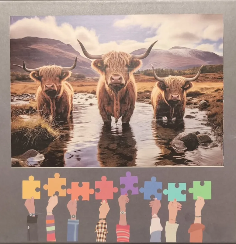 Jigsaw puzzle