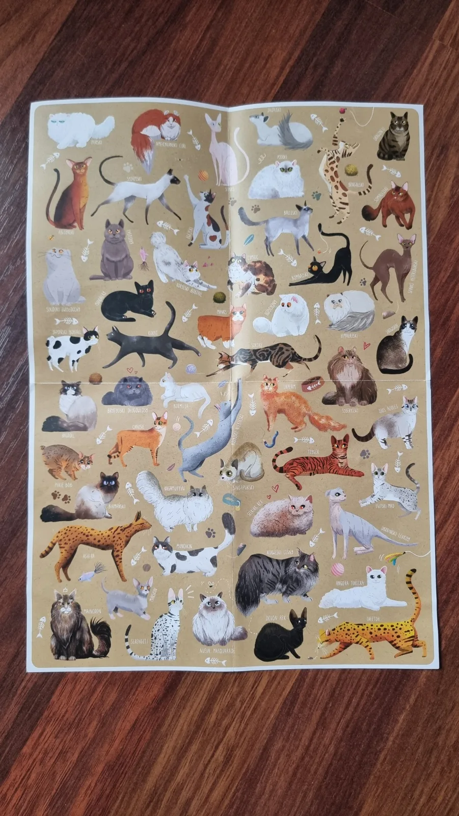 Puzzlelove - CzuCzu - Koty — 2