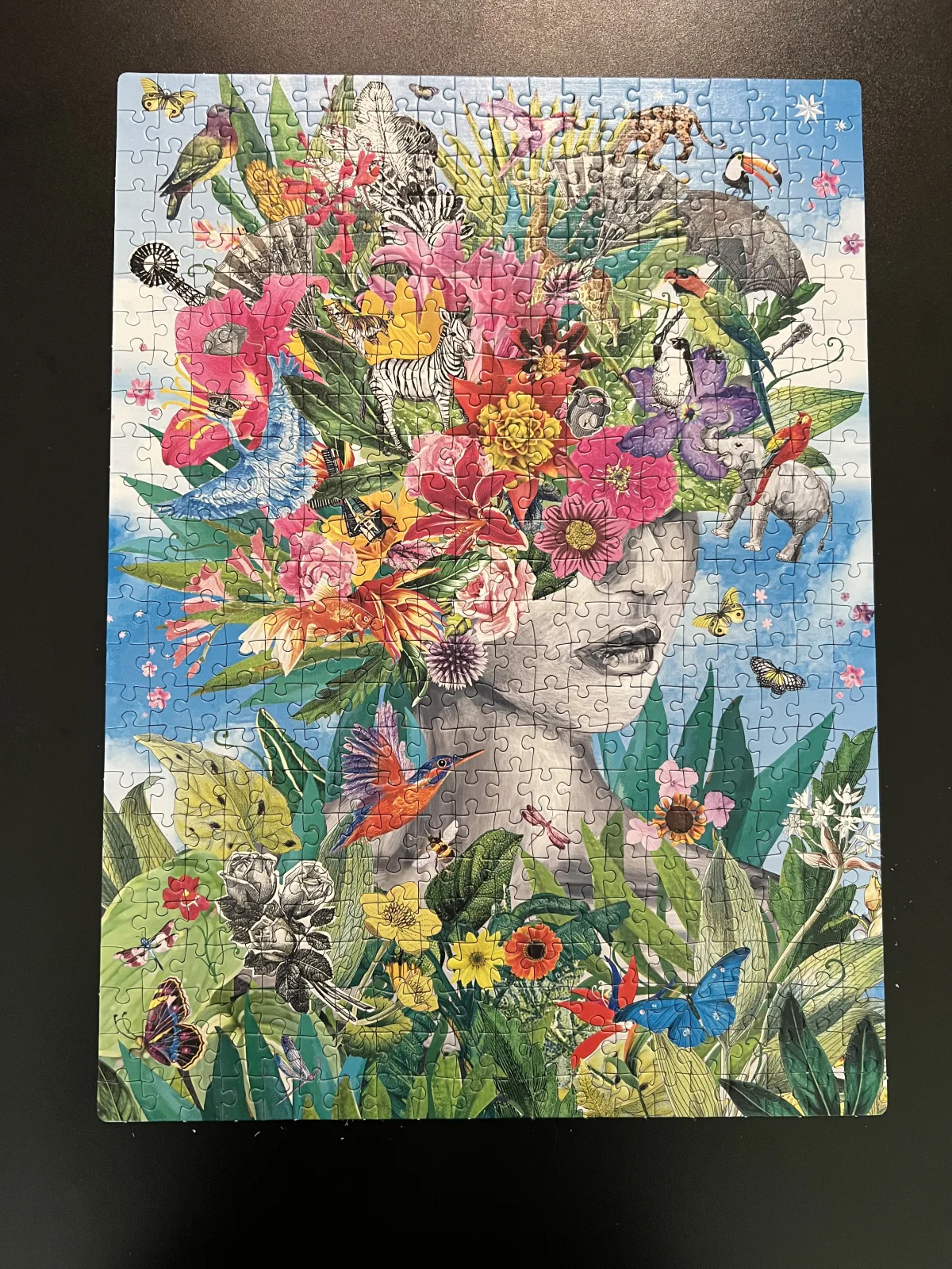 Clementoni 500 “Head in the Jungle” — 2