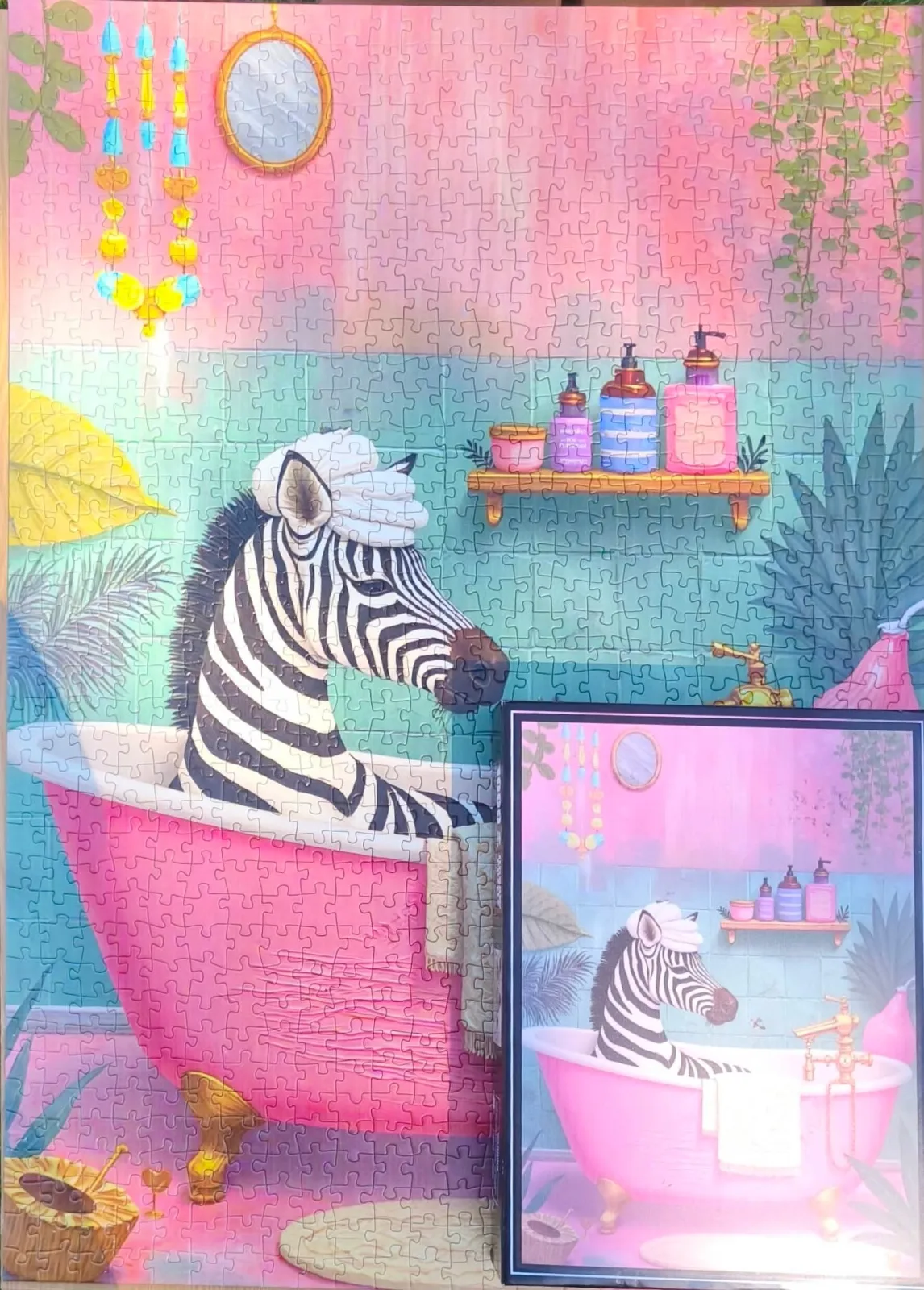 Zebra — 2